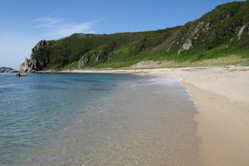 В лето с головой!