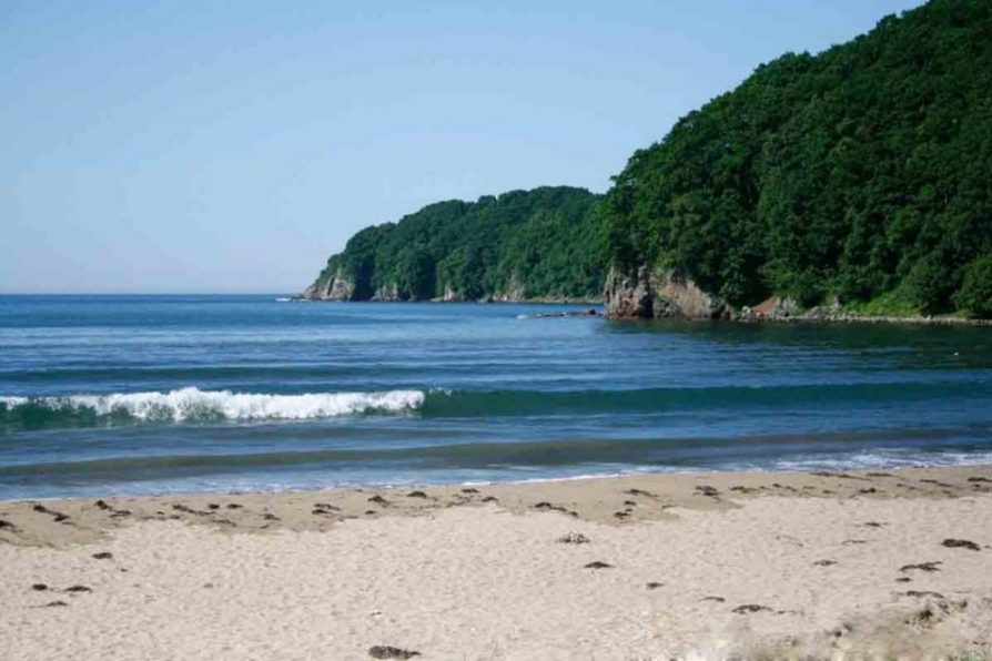 Дорога в Голливуд